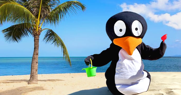 Summertime-JiJi-at-the-Beach