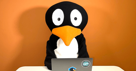 blog-newsletter-ad-JiJi-laptop