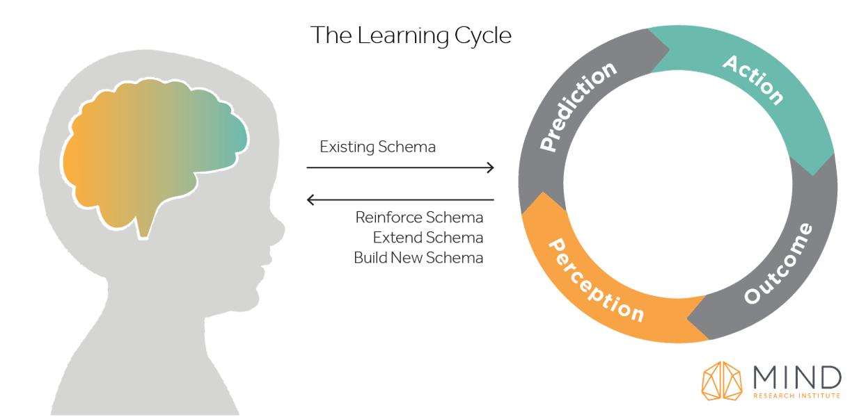 blog.mindresearch.orghubfsLanding Pagesimagesperception-action-cycle-2