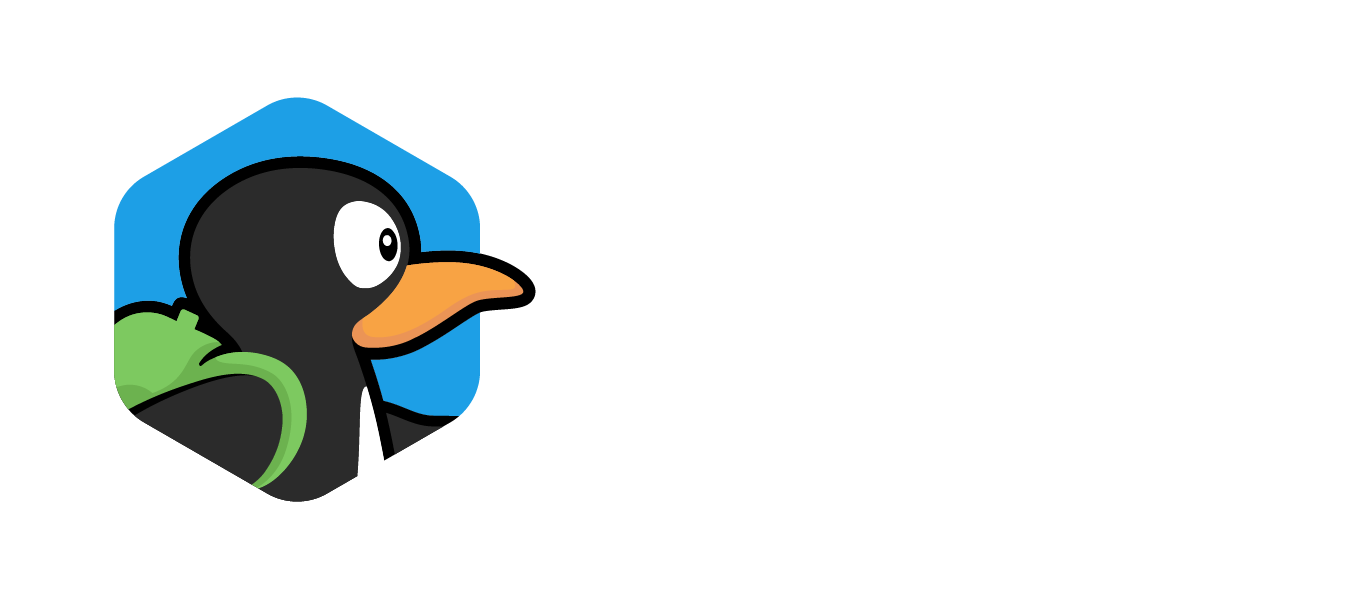 ST-Math_Logo_Camp_White